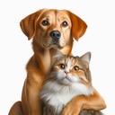 Innovación en osteosíntesis veterinaria: Sistema CBS de Eickemeyer