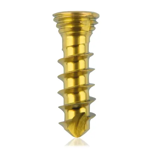 Tornillo de bloqueo de titanio, Ø 2.3 x L 08 mm, multidireccional, dorado, Torx 6, autoperforante, autorroscante