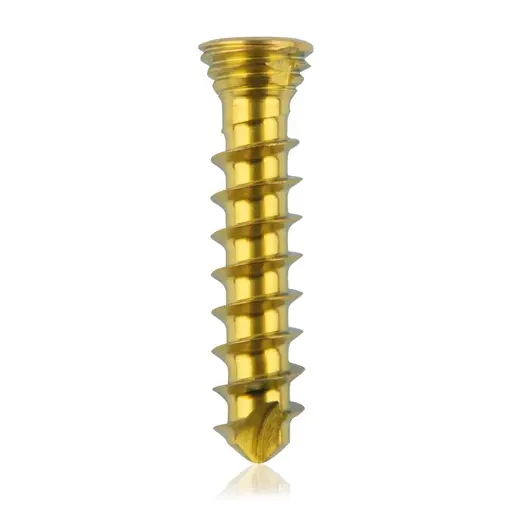 [VTR.200.185530] Tornillo de bloqueo de titanio, Ø 2.3 x L 12 mm, multidireccional, dorado, Torx 6, autoperforante, autorroscante