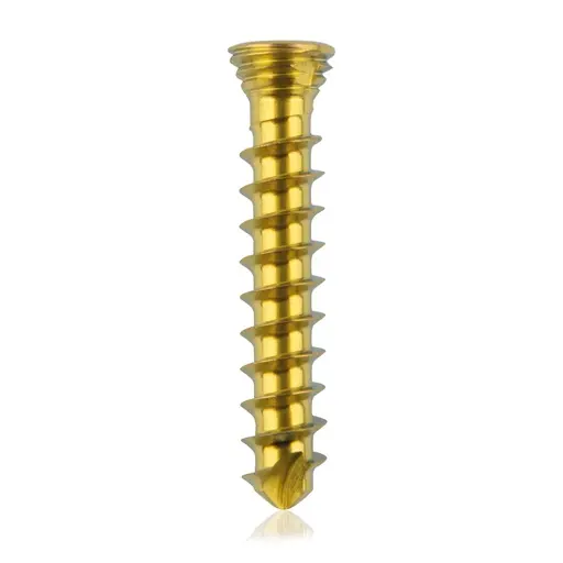 [VTR.200.185531] Tornillo de bloqueo de titanio, Ø 2.3 x L 14 mm, multidireccional, dorado, Torx 6, autoperforante, autorroscante
