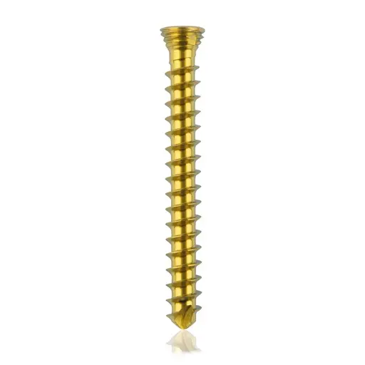 [VTR.200.185534] Tornillo de bloqueo de titanio, Ø 2.3 x L 20 mm, multidireccional, dorado, Torx 6, autoperforante, autorroscante