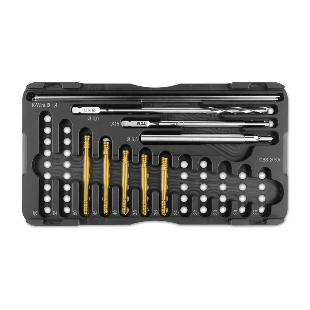 Kit CBS de Ø6,5 mm para perros grandes